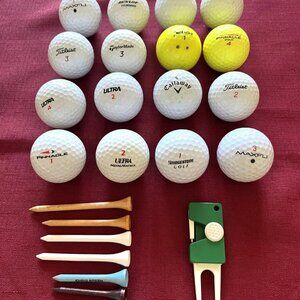 Lot Of 16 Golf Balls Callaway Titleist Maxfli Srixon Pinnacle Ultra Dunlop Etc